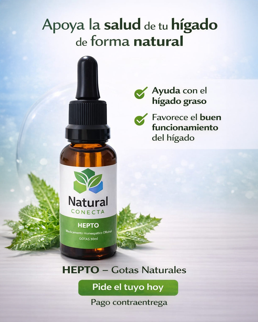 HEPTO